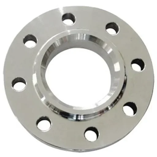 SS 304L Flanges